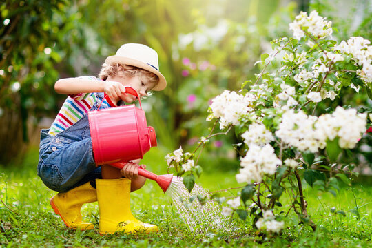 Child gardening. Boy with watering can in garden.