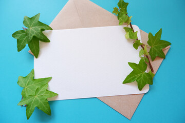 Green ivy leaves with blank greeting card on white blue background. Botanical concept background. Summer greeting. アイビーの葉と手紙セット、初夏の贈り物、夏のメッセージ背景、夏のガーデニング