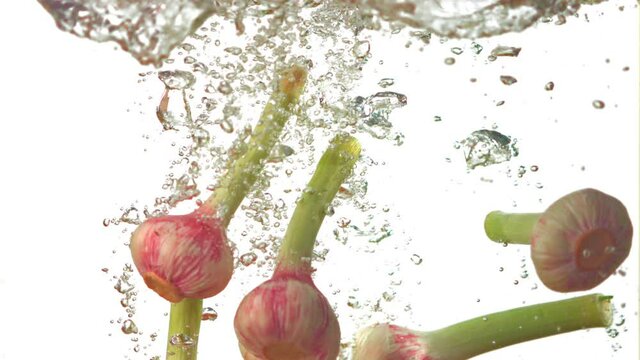 Super slow motion garlic under water with air bubbles on a white background. Filmed on a high-speed camera at 1000 fps. High quality FullHD footage