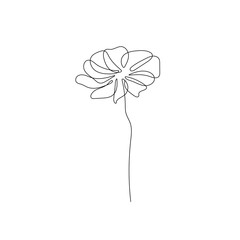 Flower One Line Drawing. Hand Drawn Minimalism Style of Simple Flower Line Art Drawing. Vector EPS 10