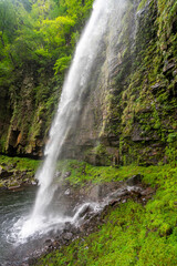 Fototapeta premium 落差60mの滝 (日本 - 岐阜 - 阿弥陀ヶ滝)