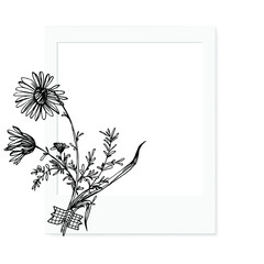 Frame or Border for fashion sale social media post design template with Minimalist botanical style you can use for greeting card template, special offer sale, black friday. Chamomile square banners. 