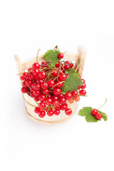 red currant isolated on white background