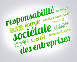RSE - Responsabilité Sociétale des Entreprises - 428535379
