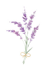 A small bunch of lavender. Delicate bouquet for a postcard or invitation