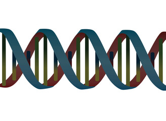 DNA colorful shape. vector illustration