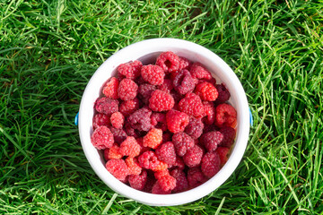 Red, ripe, large, delicious raspberries in a children's plastic bucket.