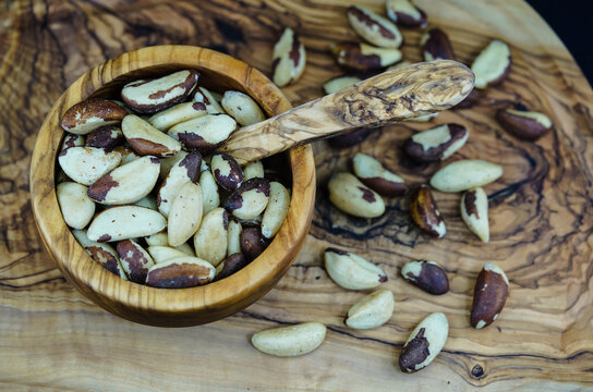 Paranuss Bertholletia excelsa auf Olivenholz