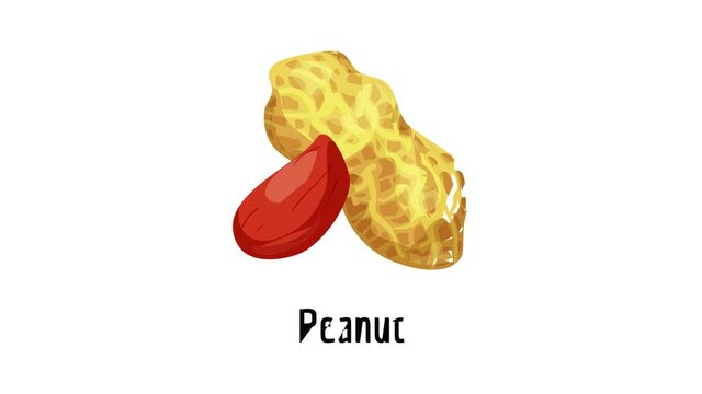 Peanut icon animation