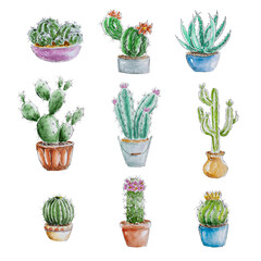 Watercolor collection of cactuses in pots, houseplants, garden plants
