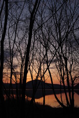 夜明けの湖畔の森の木々のシルエット。

