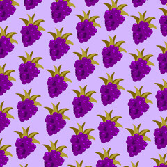 illustration pattern blackberry on purple background