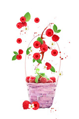 Raspberry berries levitating on a white background. Isolated object on a white background. Selective focus. Raspberry background. Vertical.