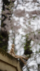A wooden doll sitting under a cherry tree