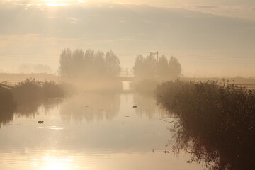 Fog over watering Vierde Tocht at the lowest polder in the Netherlands Zuidplaspolder between Gouda and Rotterdam