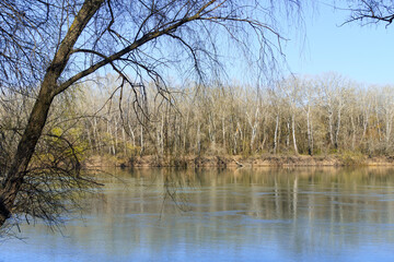beautiful spring landscape - forest and river on a bright sunny day