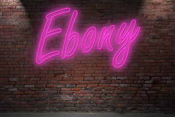 Fototapeta na wymiar Neon Ebony lettering on Brick Wall at night