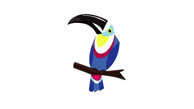 Toucan on branch icon animation