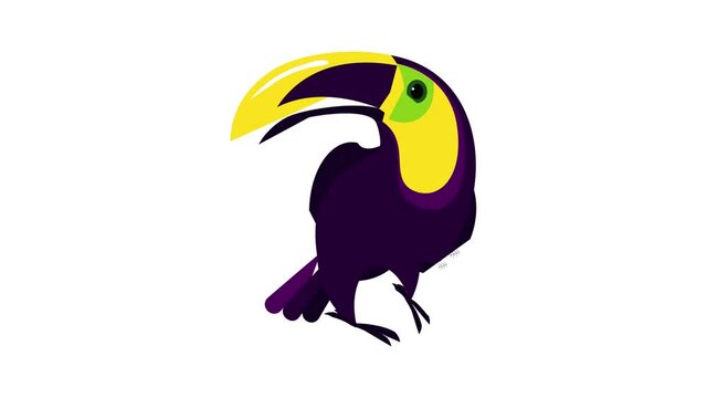 Colorful toucan icon animation