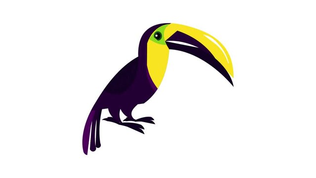 Feather toucan icon animation