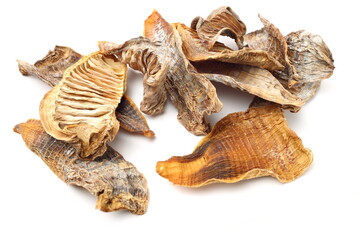 Dry young bamboo shoot on white background