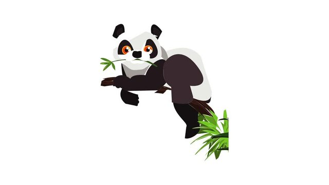 Panda bear icon animation