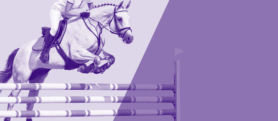 Horse and rider, black and white banner or header, billboard, duo tone. Beautiful white horse...