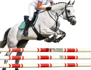 Girl jumping with white horse, isolated background. Equestrian sports. Rider in uniform going to jump, show jumping competition. Horizontal web header or banner design.