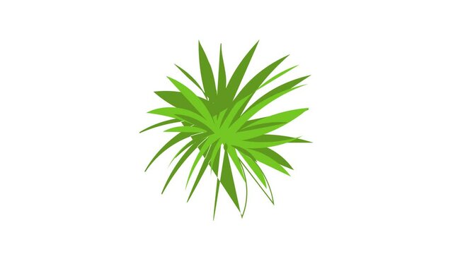 Papyrus frond icon animation