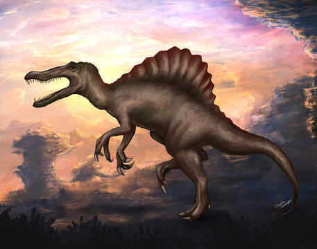 Spinosaurus in the sunset – illustration