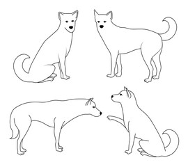 Line drawing dogs. Dog side view. Vector illustration