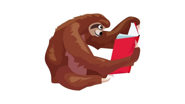 Sloth read a book icon animation