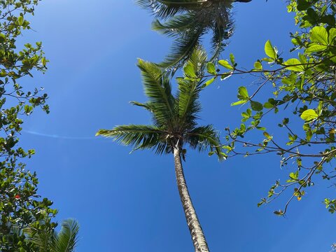 Karibik Insel St. Vincent