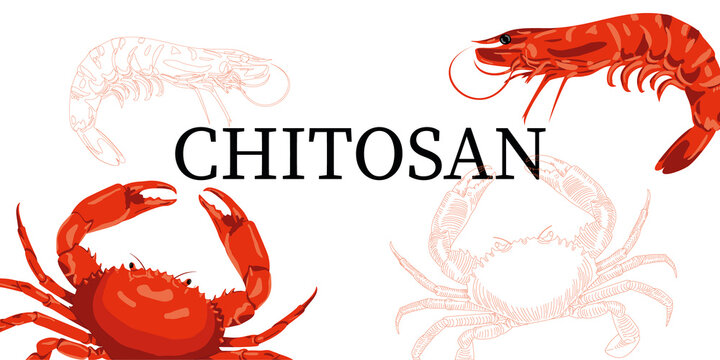 Chitosan is a dietary supplement. For weight loss and weight control. From the shells of crustaceans,
shrimp and crabs. Chitin, polysaccharide.