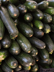 fresh zucchini on the market
