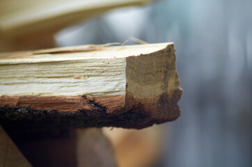 Acacia wooden log as firewood