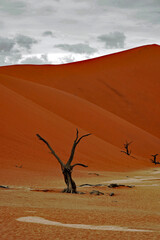 Sossusvlei/Namibia