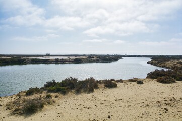 salt flats of Cerrillos in the Punta Entinas Sabinar natural reserve