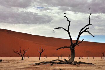 Fototapeta na wymiar Sossusvlei/Namibia