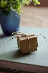 Caja de papel kraft con lazo