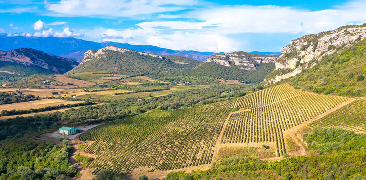 Aerial view from Grapes and Vineyards in the beautiful countryside of Patrimonio, Tourism and vacations concept. Corsica, France