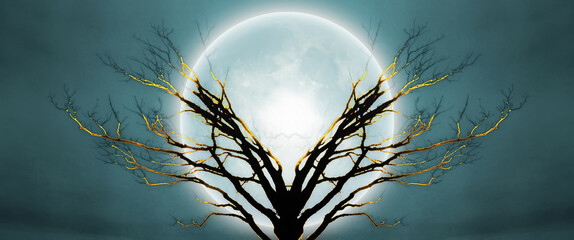 Tree of Life © rolffimages