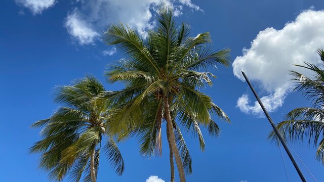 Karibik Insel Barbados