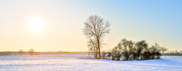 Winter landscape with the sun setting over the horizon.