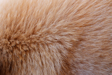 close up brown hair of dog texture