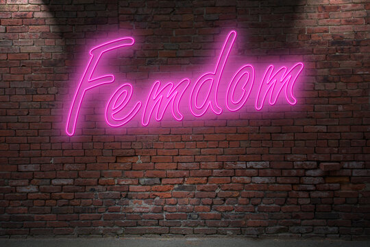 Neon BDSM Femdom lettering on Brick Wall at night