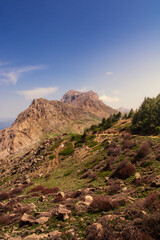 Atlas mountains located in north africa and this is tikjda located in Algeria , Landscape view of national park Tikjda in Bouira Algeria