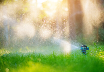 Sprinkler head watering green grass lawn. Gardening concept. Smart garden activated with full automatic sprinkler irrigation system working in a green park.  - obrazy, fototapety, plakaty