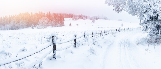 Winter landscape in the Sudetes, white snow covers the field and the forest surrounded by a fence.