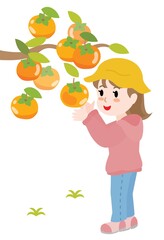 柿狩りをする女の子